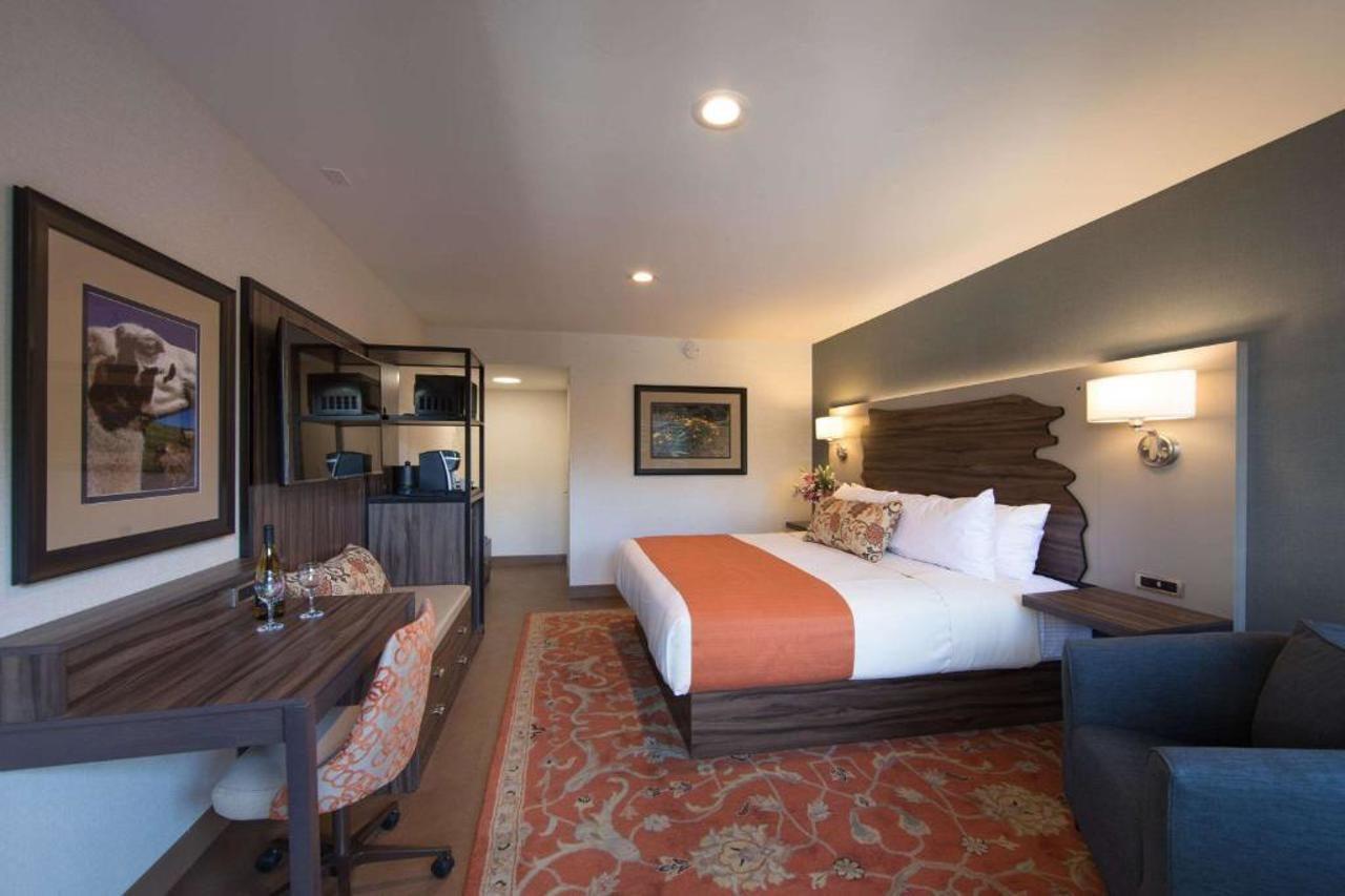 The Vine Inn Davis Esterno foto