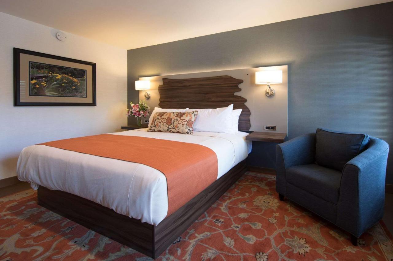 The Vine Inn Davis Esterno foto